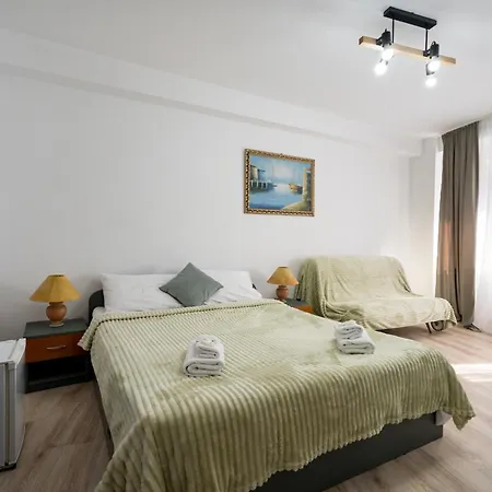 Flower's 게스트하우스 부쿠레슈티