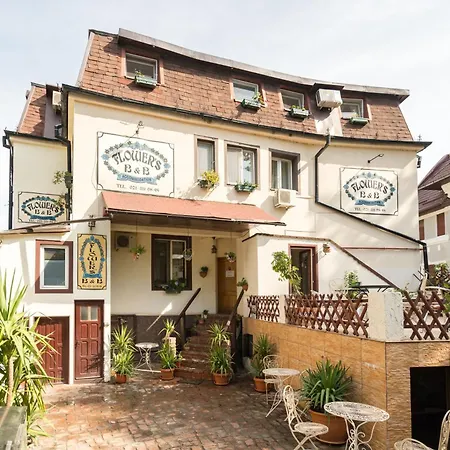 Flower's Guest house Bucharest