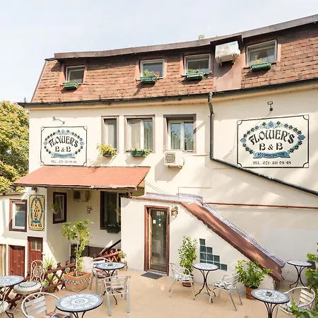 Flower's Guest house 3*