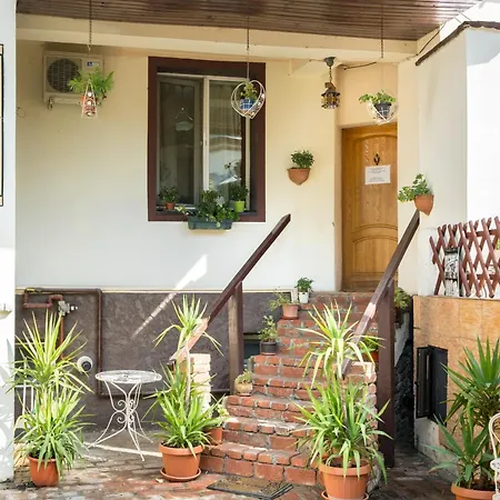 Pensionat Flower's Bukarest