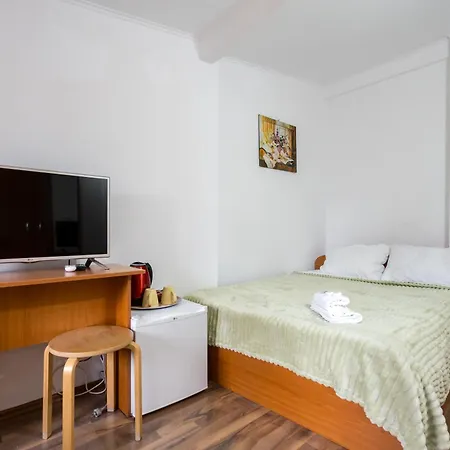 Flower's Pensionat Bukarest