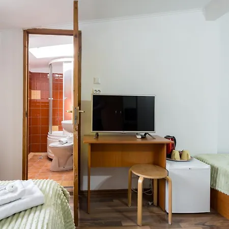 Pensionat Flower's Bukarest